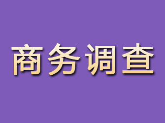 门源商务调查